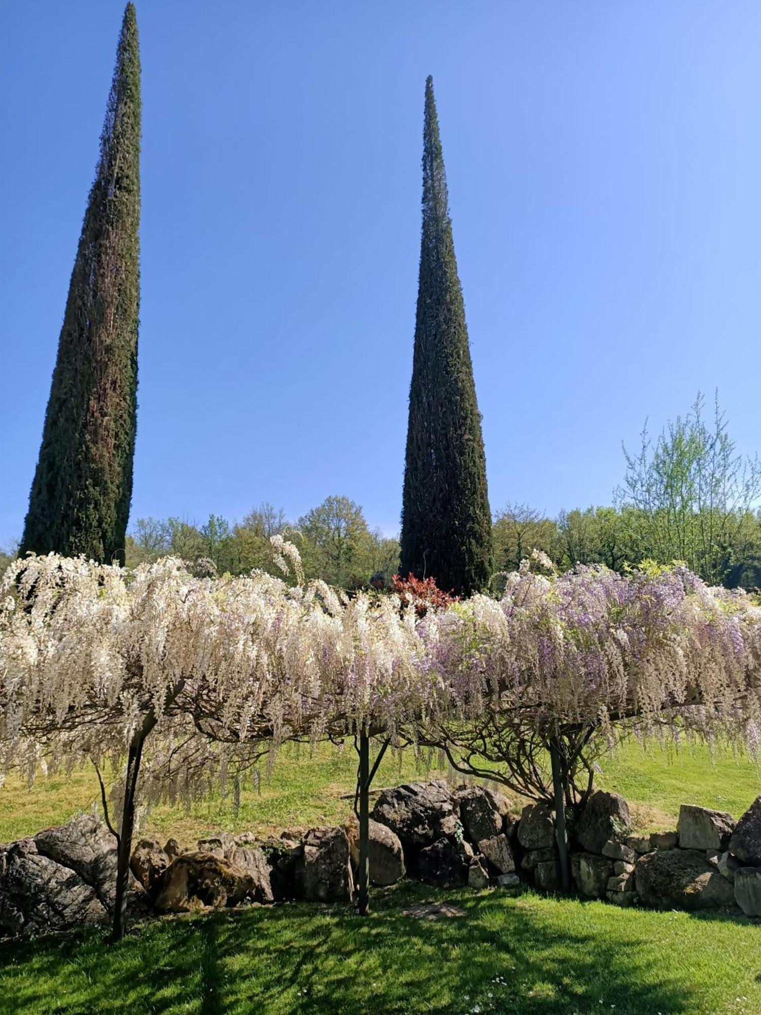 Relais Osteria Dell'orcia Hotel 4*